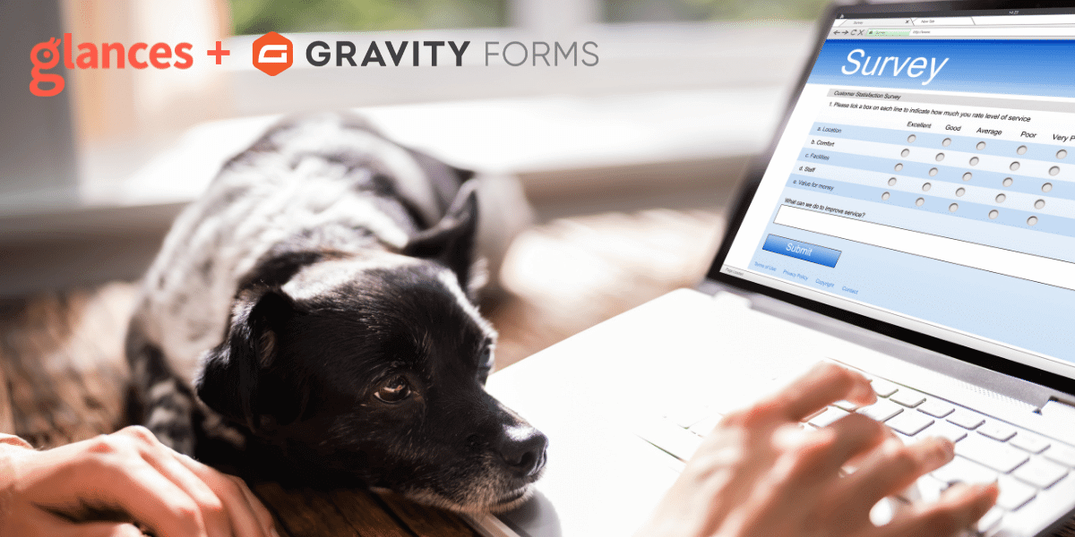 Pull up Gravity Form entries for any person Person taking a survey on a laptop with a dog laying its head on the laptop